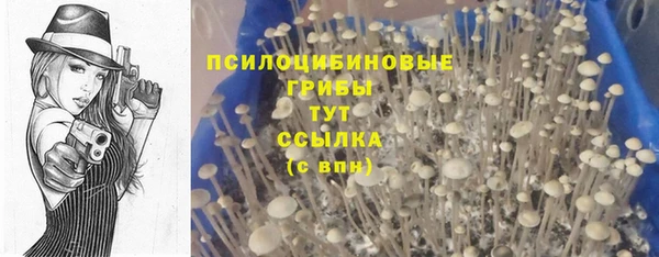 бутират Алексин